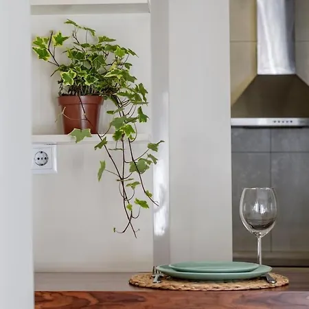 Apartment Comfy In Center Porto